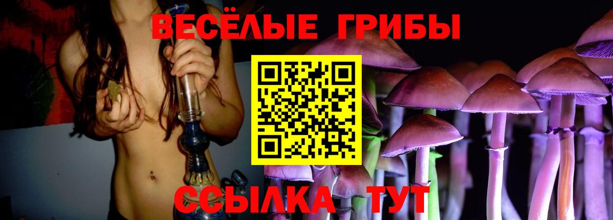 где найти наркотики  Вход с VPN  Новосибирск  Галлюциногенные грибы GOLDEN TEACHER 